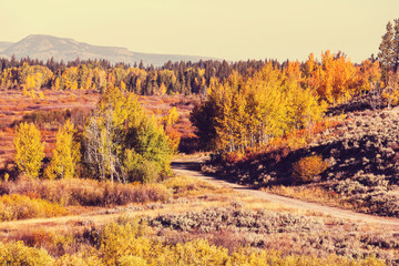 Autumn in Grand Teton