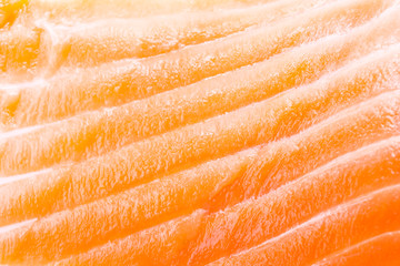 Salmon meat background