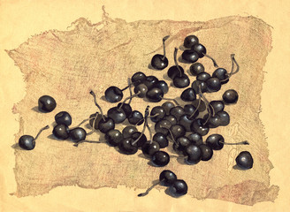 Cherry on the old canvas