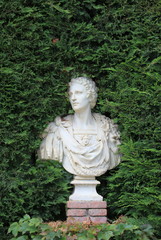 Marble bust on a green leafs background