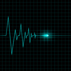 Heart cardiogram vector illustration