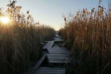 мостки © mifidor