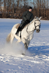 Winter riding in the stud farm