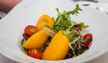 Field Green Salad with Red and Yellow Tomatoes