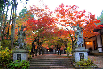 紅葉と仁王像