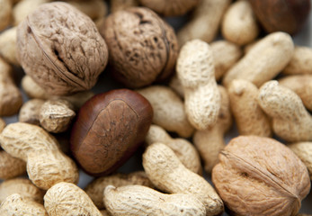 noix cacahuètes et chataignes