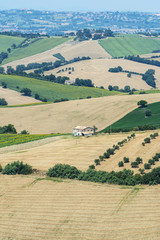 Summer landscape in Marches (Italy)