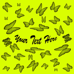 Fototapeta premium Butterflies