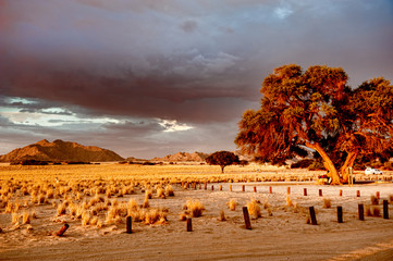 Namibia, Africa
