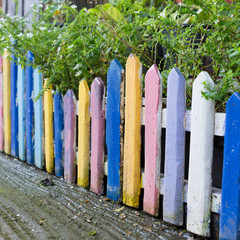colourful wood fence in small garden