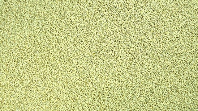 Amaranth (seamless loopable)