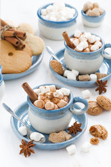 two cups of cocoa with marshmallows and cinnamon, top view