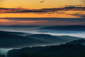 Foggy morning