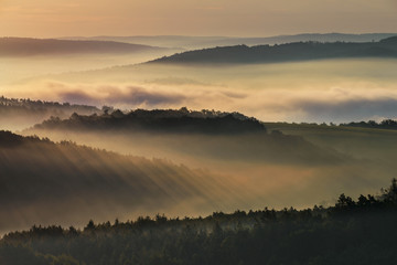 Fototapeta premium Foggy morning
