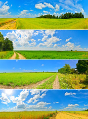 Set of summer country roads