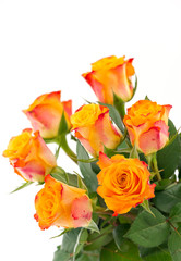 Yellow with red roses isolated