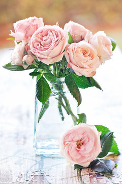 Delicate pink roses in a glass vase on the table.