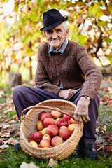 Senior farmer with apples