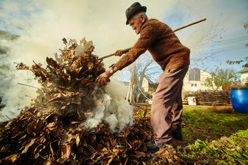 Old farmer burning dead leaves