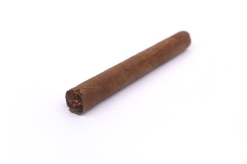 Cigar over white