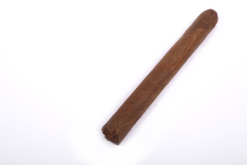 Cigar over white
