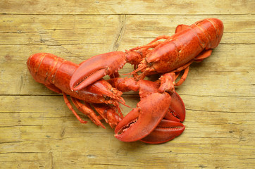 American lobster Amerikanischer Hummer Expo Milan 2015 food