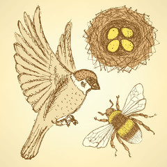 Sketch set with sparrow, bee and nest in vintage style