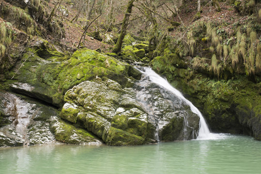 stream in gorski kotar