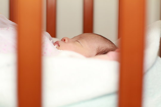 274 Best 生後1ヶ月 Images Stock Photos Vectors Adobe Stock