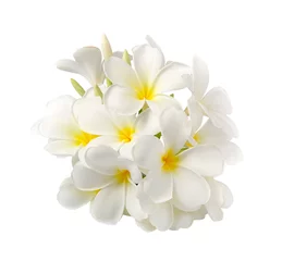 Stickers pour porte Frangipanier Fleur de frangipanier isolé sur blanc sur fond blanc