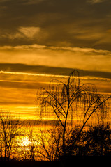 Winterlicher Sonnenuntergang mit Silhouette kahler Bäume