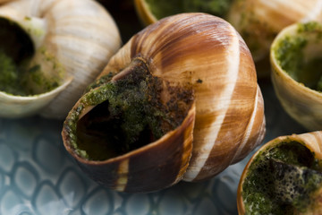 Close up of Escargots with garlic butter