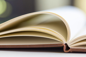 close up on open book pages