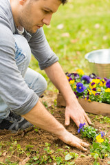 Gardener planting flowers