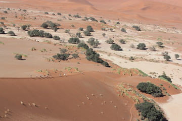 Wandergruppe in Sossusvlei