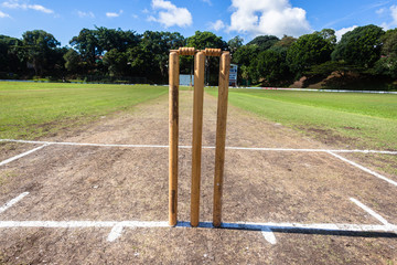 Cricket Wickets Field