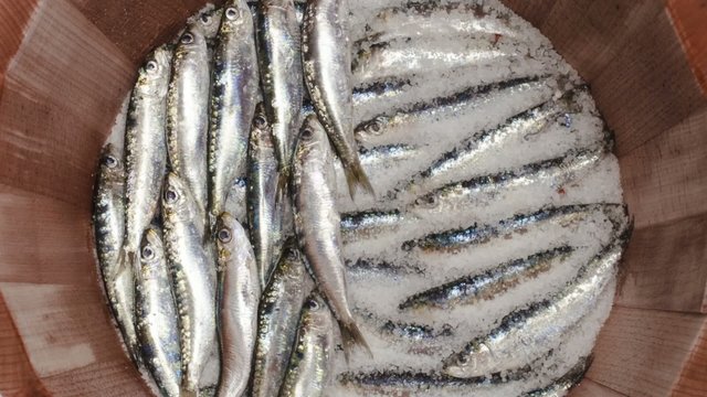 Winter and snow people walking on the street