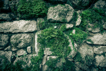 texture of natural stone and moss