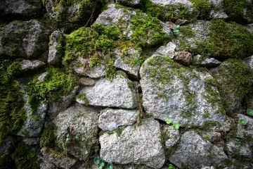 Fotobehang Steen textuur van natuursteen en mos