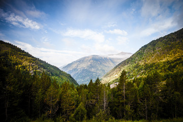 Forested valleys between the mountains. andorra