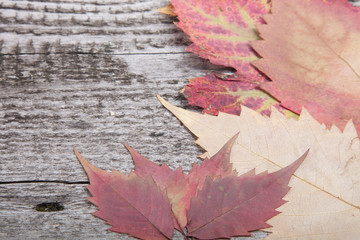 Naklejka na ściany i meble Autumn Leaves over old wooden background