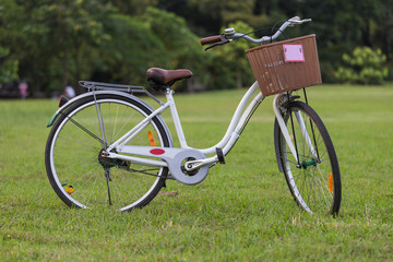 Fototapeta na wymiar bicycle parking on the grass