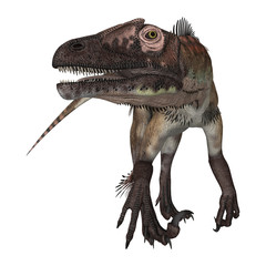 Dinosaur Utahraptor