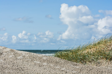 Dünen an Dänemarks Nordseeküste