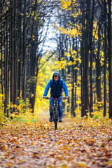 Fototapeta premium Cyclist riding mountain bike in colored autumn forest