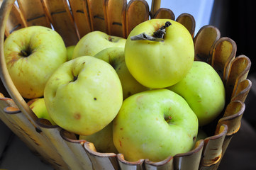 Ripe autumn apples in the basket.