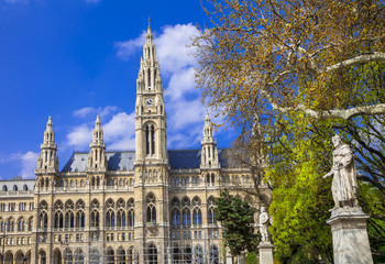 Fototapeta na wymiar beautiful Vienna, City hall