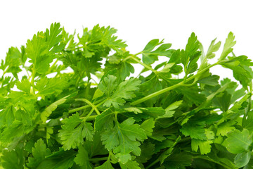 Parsley isolated on white