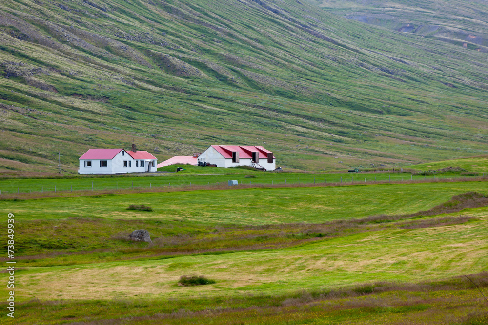 Wall mural icelandic nature landscape