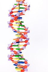 Artificial DNA model isolated on white background